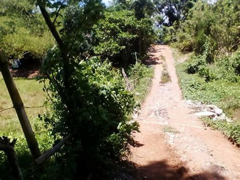 brgy. sicsican puerto princesa palawan|Barangay Sicsican .